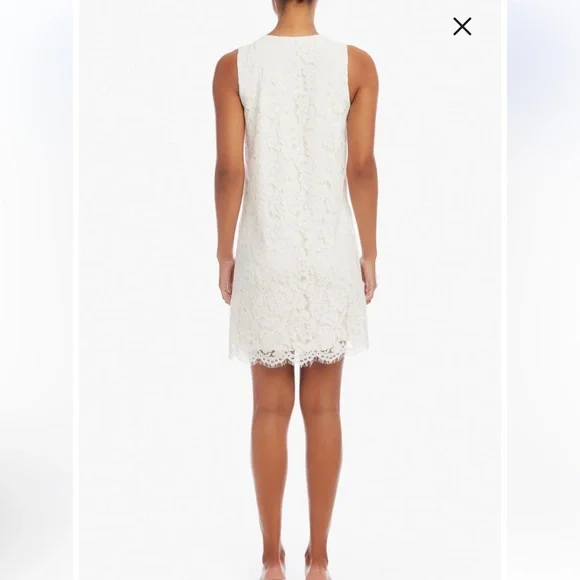 New Karen Kane Elegant Cream Lace Shift Dress - Picture 4 of 13